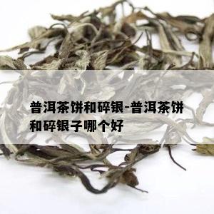 普洱茶饼和碎银-普洱茶饼和碎银子哪个好