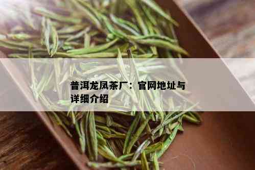 普洱龙凤茶厂：官网地址与详细介绍