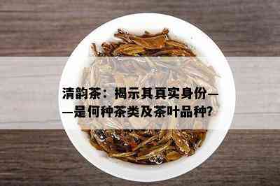 清韵茶：揭示其真实身份——是何种茶类及茶叶品种？