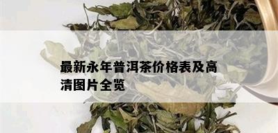 最新永年普洱茶价格表及高清图片全览