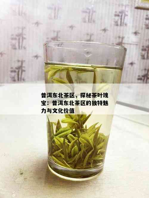 普洱东北茶区，探秘茶叶瑰宝：普洱东北茶区的独特魅力与文化价值