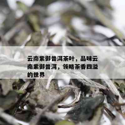 云南紫御普洱茶叶，品味云南紫御普洱，领略茶香四溢的世界