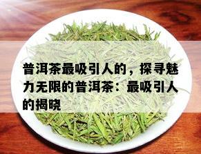 普洱茶最吸引人的，探寻魅力无限的普洱茶：最吸引人的揭晓