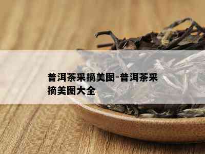 普洱茶采摘美图-普洱茶采摘美图大全