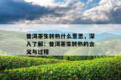 普洱茶生转熟什么意思，深入了解：普洱茶生转熟的含义与过程