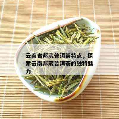 云南省邦葳普洱茶特点，探索云南邦葳普洱茶的独特魅力