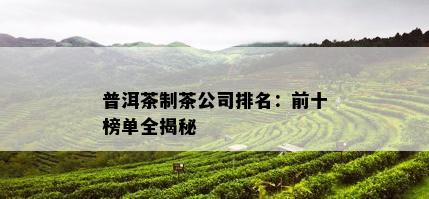 普洱茶制茶公司排名：前十榜单全揭秘