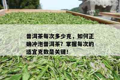 普洱茶每次多少克，如何正确冲泡普洱茶？掌握每次的适宜克数是关键！