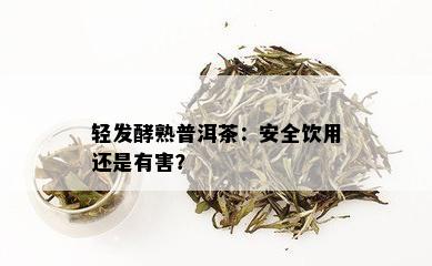 轻发酵熟普洱茶：安全饮用还是有害？