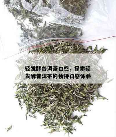 轻发酵普洱茶口感，探索轻发酵普洱茶的独特口感体验