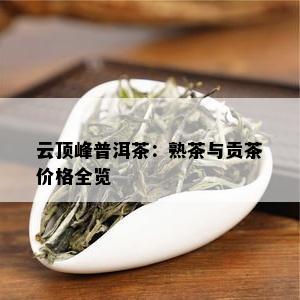 云顶峰普洱茶：熟茶与贡茶价格全览