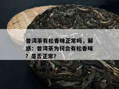 普洱茶有松香味正常吗，解惑：普洱茶为何会有松香味？是否正常？