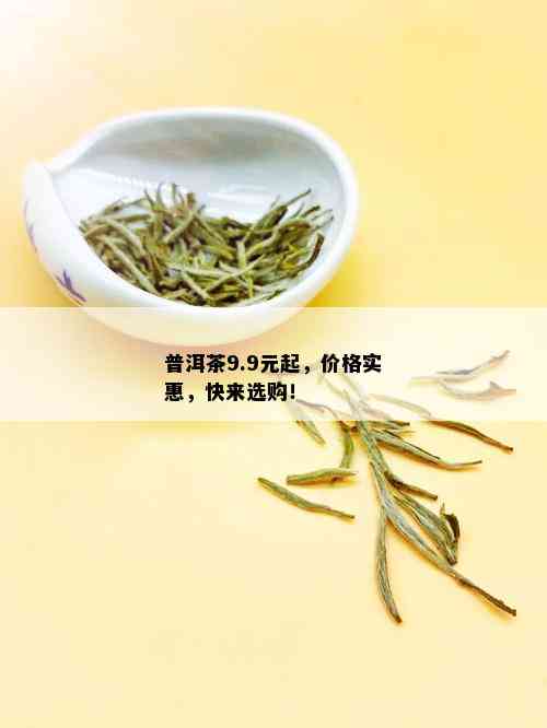 普洱茶9.9元起，价格实惠，快来选购！