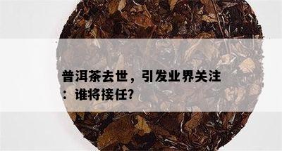 普洱茶去世，引发业界关注：谁将接任？