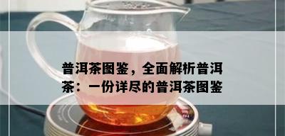 普洱茶图鉴，全面解析普洱茶：一份详尽的普洱茶图鉴