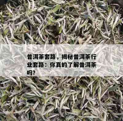 普洱茶套路，揭秘普洱茶行业套路：你真的了解普洱茶吗？