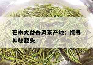 芒市大益普洱茶产地：探寻神秘源头