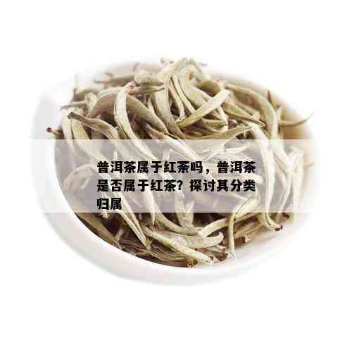 普洱茶属于红荼吗，普洱茶是否属于红茶？探讨其分类归属