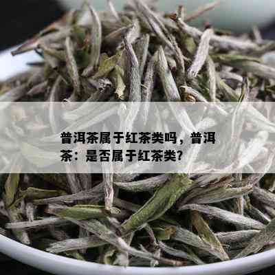 普洱茶属于红茶类吗，普洱茶：是否属于红茶类？