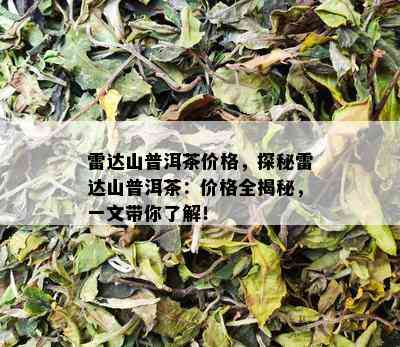 雷达山普洱茶价格，探秘雷达山普洱茶：价格全揭秘，一文带你了解！