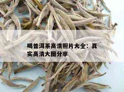 喝普洱茶高清照片大全：真实高清大图分享