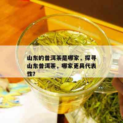 山东的普洱茶是哪家，探寻山东普洱茶，哪家更具代表性？