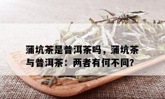 蒲坑茶是普洱茶吗，蒲坑茶与普洱茶：两者有何不同？