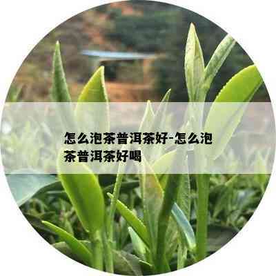 怎么泡茶普洱茶好-怎么泡茶普洱茶好喝