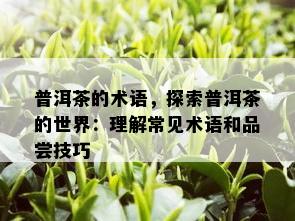 普洱茶的术语，探索普洱茶的世界：理解常见术语和品尝技巧