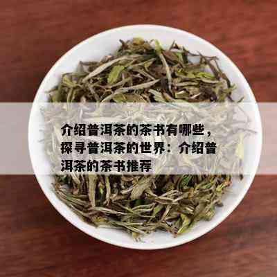 介绍普洱茶的茶书有哪些，探寻普洱茶的世界：介绍普洱茶的茶书推荐