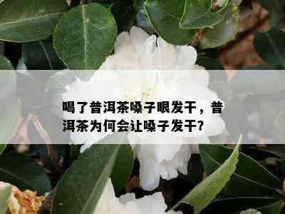 喝了普洱茶嗓子眼发干，普洱茶为何会让嗓子发干？