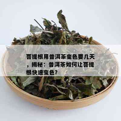 菩提根用普洱茶变色要几天，揭秘：普洱茶如何让菩提根快速变色？