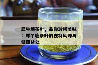 犀牛塘茶叶，品尝珍稀美味：犀牛塘茶叶的独特风味与健康益处