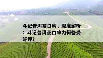 斗记普洱茶口碑，深度解析：斗记普洱茶口碑为何备受好评？