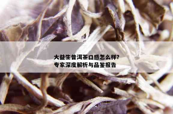 大益生普洱茶口感怎么样？专家深度解析与品鉴报告