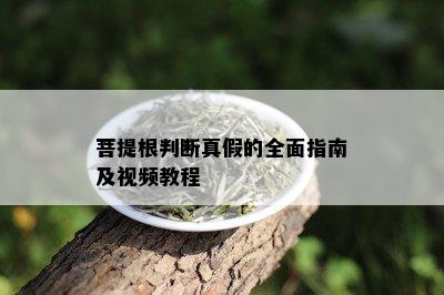 菩提根判断真假的全面指南及视频教程