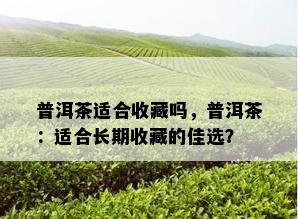 普洱茶适合收藏吗，普洱茶：适合长期收藏的佳选？