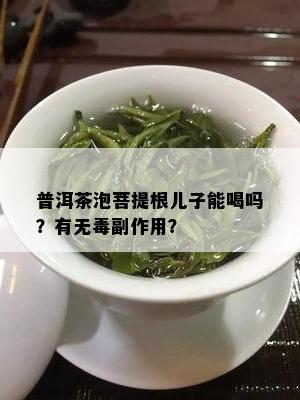 普洱茶泡菩提根儿子能喝吗？有无副作用？