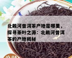 北戴河普洱茶产地是哪里，探寻茶叶之源：北戴河普洱茶的产地揭秘