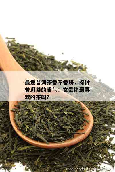 更爱普洱茶香不香呀，探讨普洱茶的香气：它是你最喜欢的茶吗？