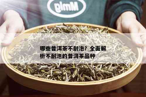 哪些普洱茶不耐泡？全面解析不耐泡的普洱茶品种