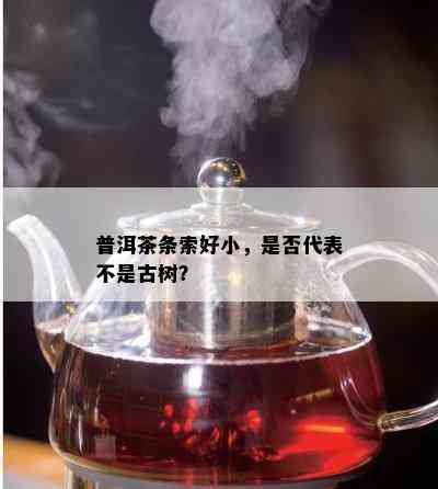 普洱茶条索好小，是否代表不是古树？