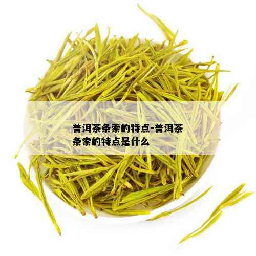 普洱茶条索的特点-普洱茶条索的特点是什么