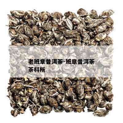 老班章普洱茶-班章普洱茶茶科所