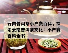 云南普洱茶小户赛百科，探索云南普洱茶文化：小户赛百科全书