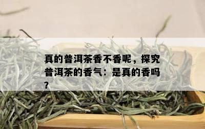 真的普洱茶香不香呢，探究普洱茶的香气：是真的香吗？