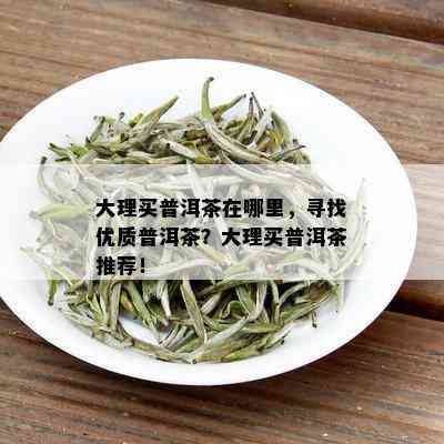 大理买普洱茶在哪里，寻找优质普洱茶？大理买普洱茶推荐！