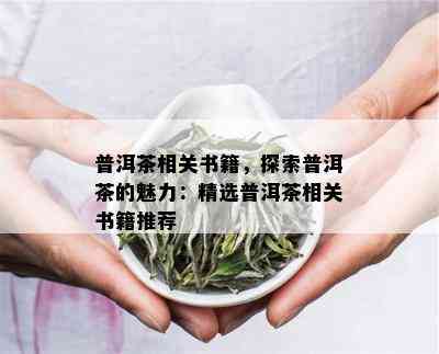 普洱茶相关书籍，探索普洱茶的魅力：精选普洱茶相关书籍推荐