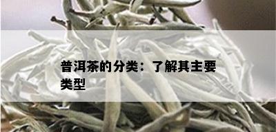 普洱茶的分类：了解其主要类型