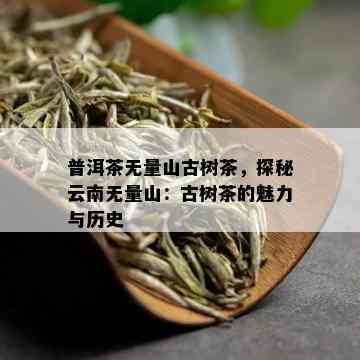 普洱茶无量山古树茶，探秘云南无量山：古树茶的魅力与历史